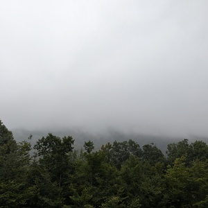 PXL_20240817_130018449.jpg
